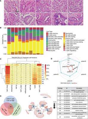 The role of BHLHE40 in clinical features and prognosis value of PDAC by comprehensive analysis and in vitro validation